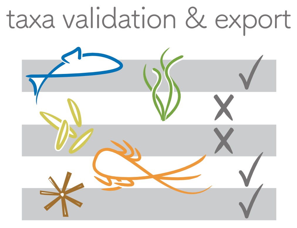 link to taxa entry tool